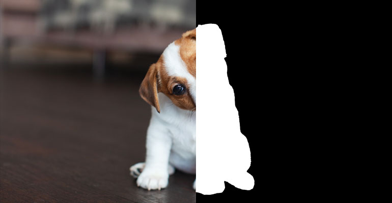 Object Segmentation